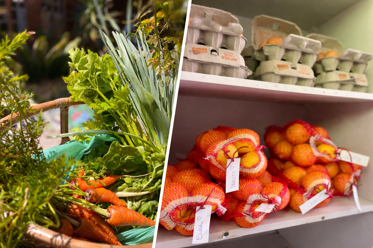 farm-fresh-friday-global-village-plett